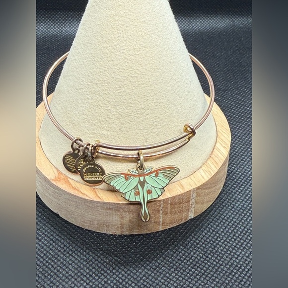 🧡ALEX AND ANI🧡Luna Moth Color Infusion Charm Bangle in Rose Gold Tone/EUC - Picture 2 of 7
